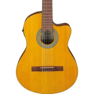 Guitarra IBANEZ GA3ECE OAM Electo clasica Nylon Open Pore