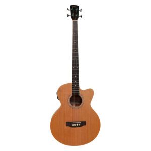 Bajo MAYER STLB-231CEQ Electroacusitco Pasivo