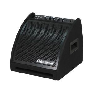Amplificador CARLSBRO EDA50B 50 Watts multiproposito