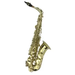 Saxo Alto VASIL YWAS-207 Dorado