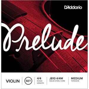 Cuerda Jg.DADDARIO J-810 violin